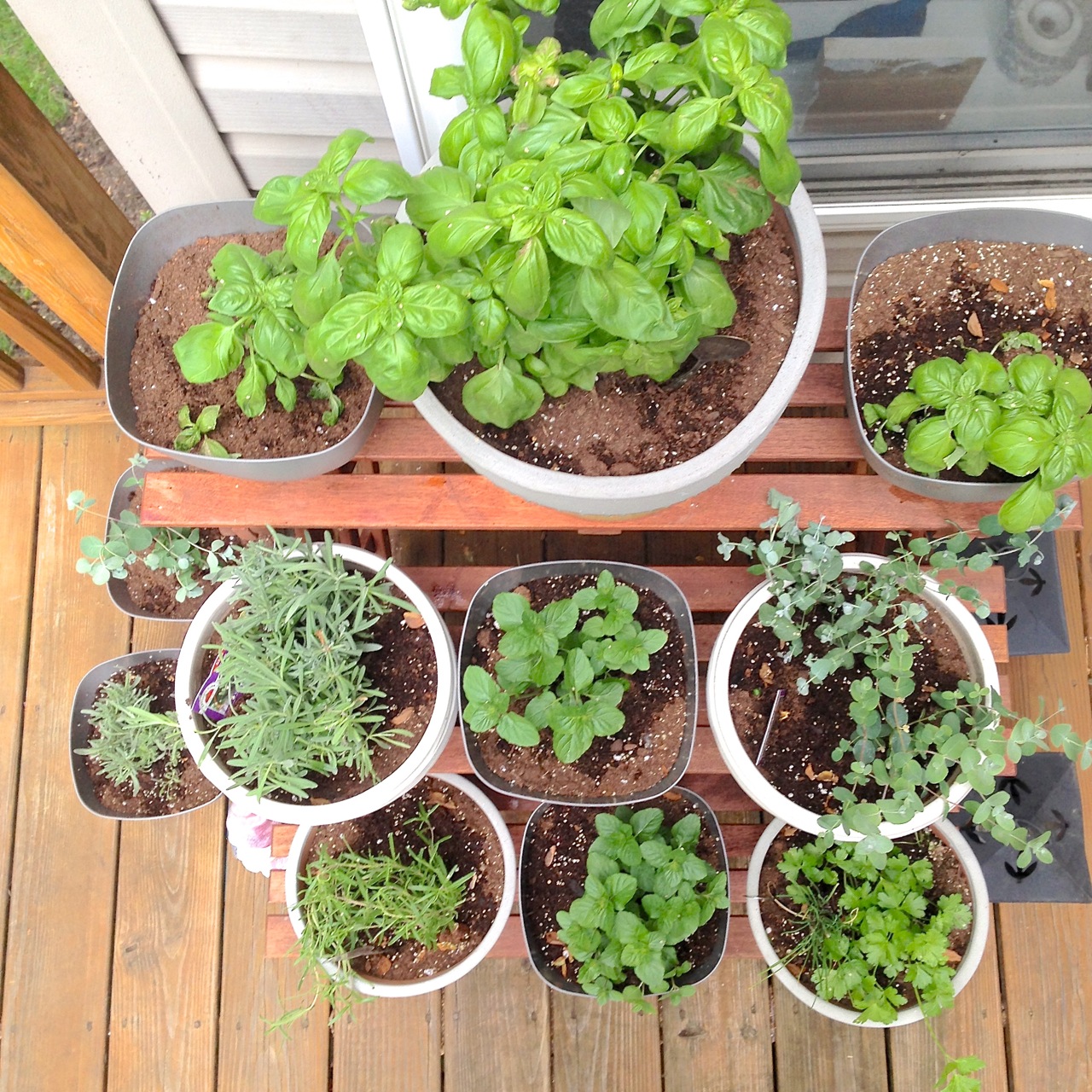 Kitchen Herb Container Garden – p.s. bonjour